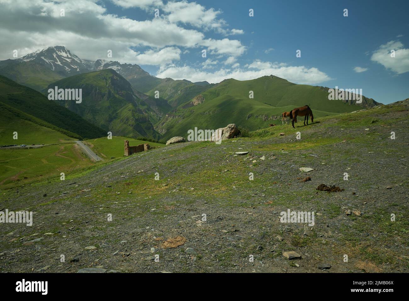 Mont Kazbek ou Mont Kazbegi à Stepantsminda, Géorgie lumière du jour vue d'été avec des chevaux sauvages en premier plan et des nuages dans le ciel en arrière-plan Banque D'Images