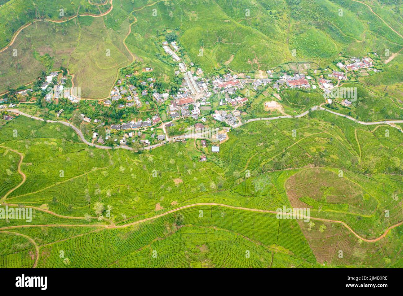 Plantations de thé vert dans une province montagneuse au Sri Lanka. Paysage de domaine de thé. Banque D'Images