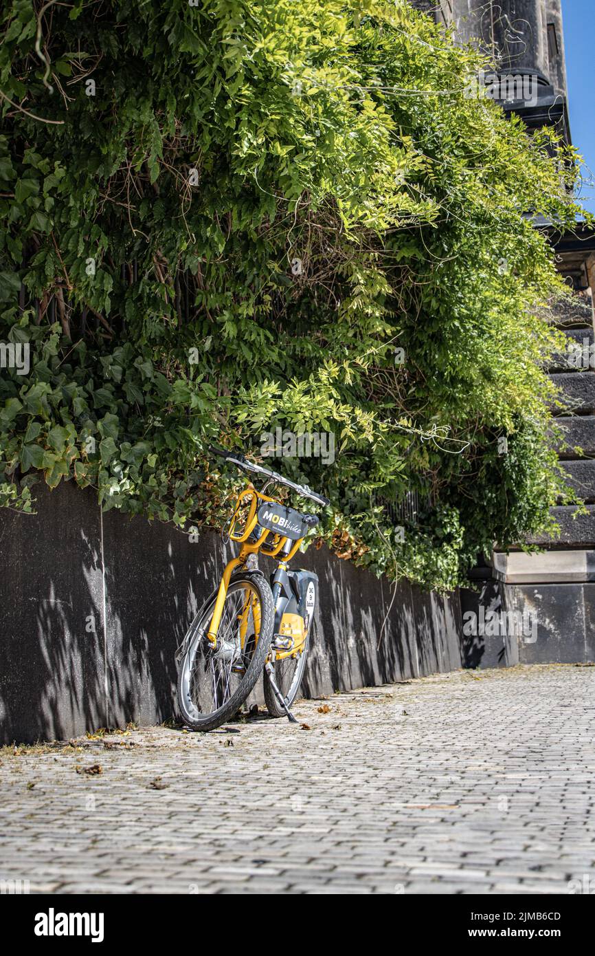 Une photo verticale d'un vélo de location stationné près d'un arbre vert à Dresde, en Allemagne Banque D'Images