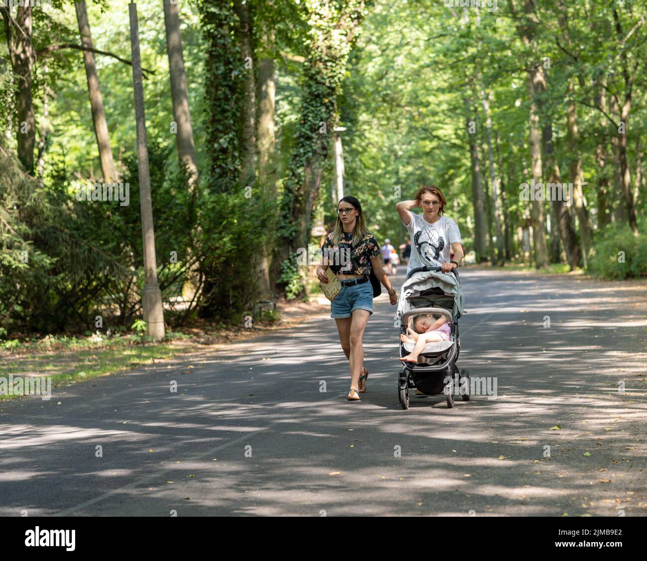 Deux femmes avec une poussette d'enfant marchant sur un sentier asphalté entre de nombreux arbres dans le nouveau zoo dans l'ombre par une journée ensoleillée. Banque D'Images