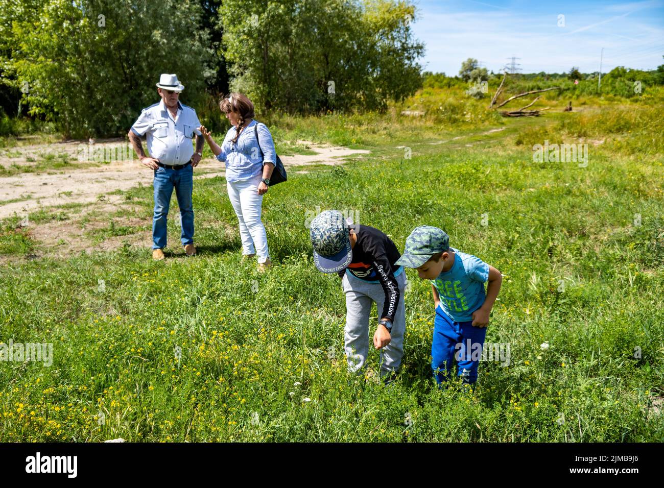 Un homme, une femme et deux enfants à la recherche d'insectes dans les mauvaises herbes vertes de la rue Bernata, par une belle journée d'été Banque D'Images