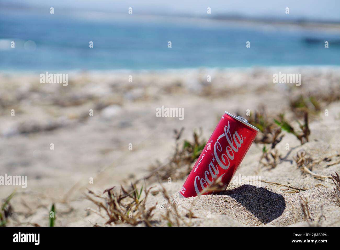 Dompu, Indonésie - 17 août 2018: gros plan coca cola CAN à la plage de sable Banque D'Images