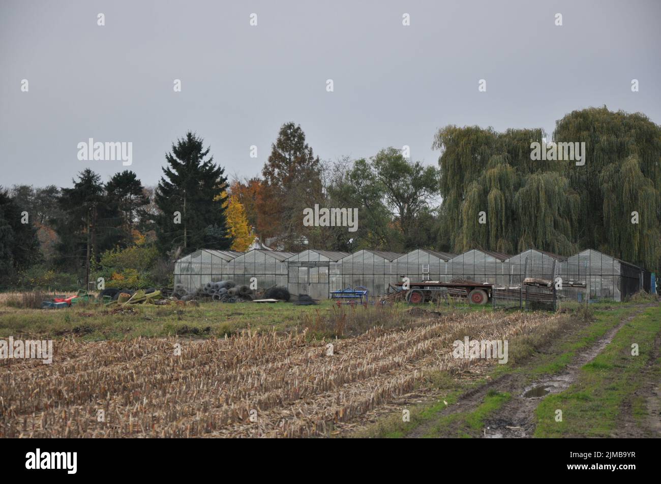Une vieille serre de verre dans un champ près de Meerbusch en Allemagne Banque D'Images