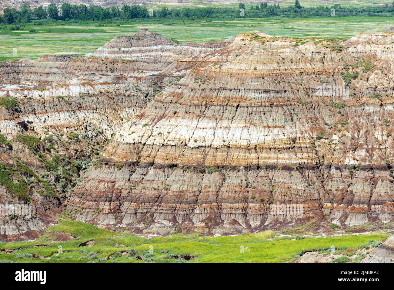 Gros plan des couches de strates rocheuses dans les Badlands de l'Alberta du parc provincial Dinosaur, Drumheller, Canada. Banque D'Images