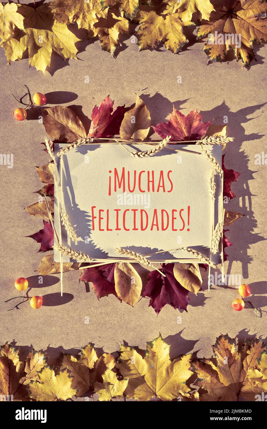 Cadre d'automne, légende message d'accueil Muchas felicidades signifie félicitations en espagnol. Pose plate avec feuilles d'automne naturelles, Banque D'Images