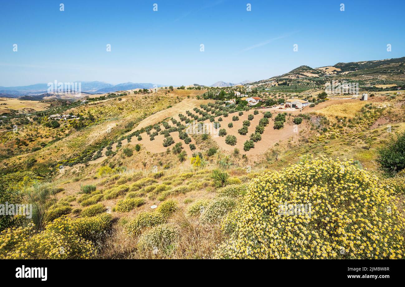 Paysage pittoresque près de Malaga, Andalousie, Espagne. Banque D'Images