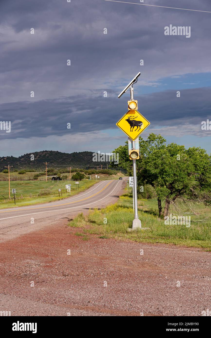 Un panneau de signalisation jaune en forme de losange avec un feu clignotant jaune et une image d'un élan avertit les conducteurs de la présence d'élan sur l'autoroute. Banque D'Images