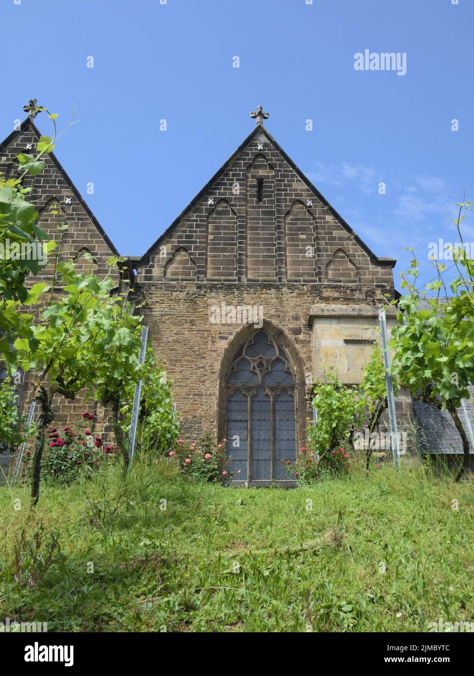 Minden - Viticulture en face de l'église Sainte-Marie, Allemagne Banque D'Images