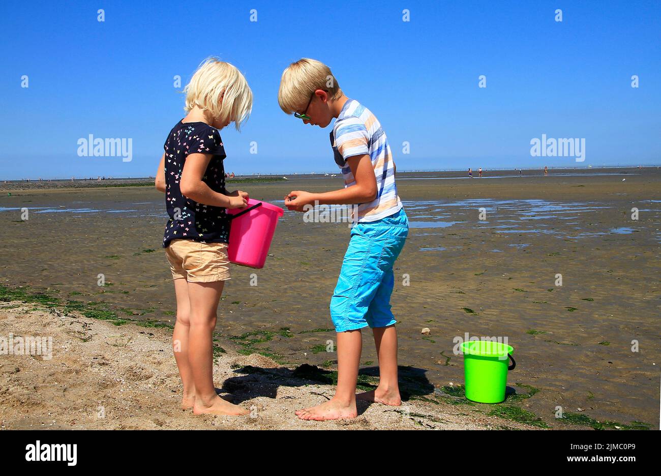 Enfants, Watt, Cuxhaven, Basse-Saxe, Allemagne, Europe Banque D'Images