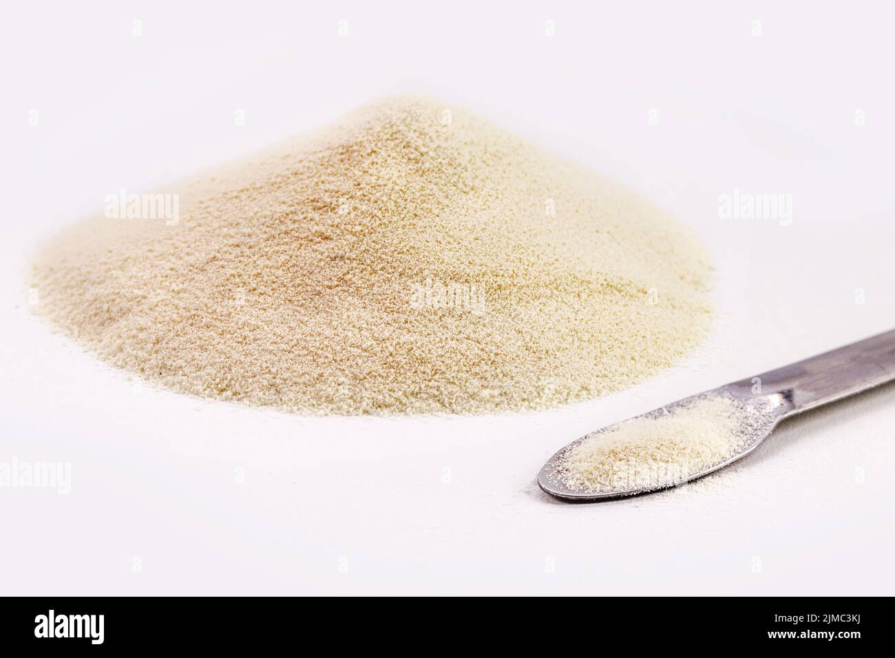 Protéine de lactosérum ou créatine, supplément alimentaire pour gagner la masse musculaire, l'énergie. Arrière-plan blanc avec espace de copie Banque D'Images