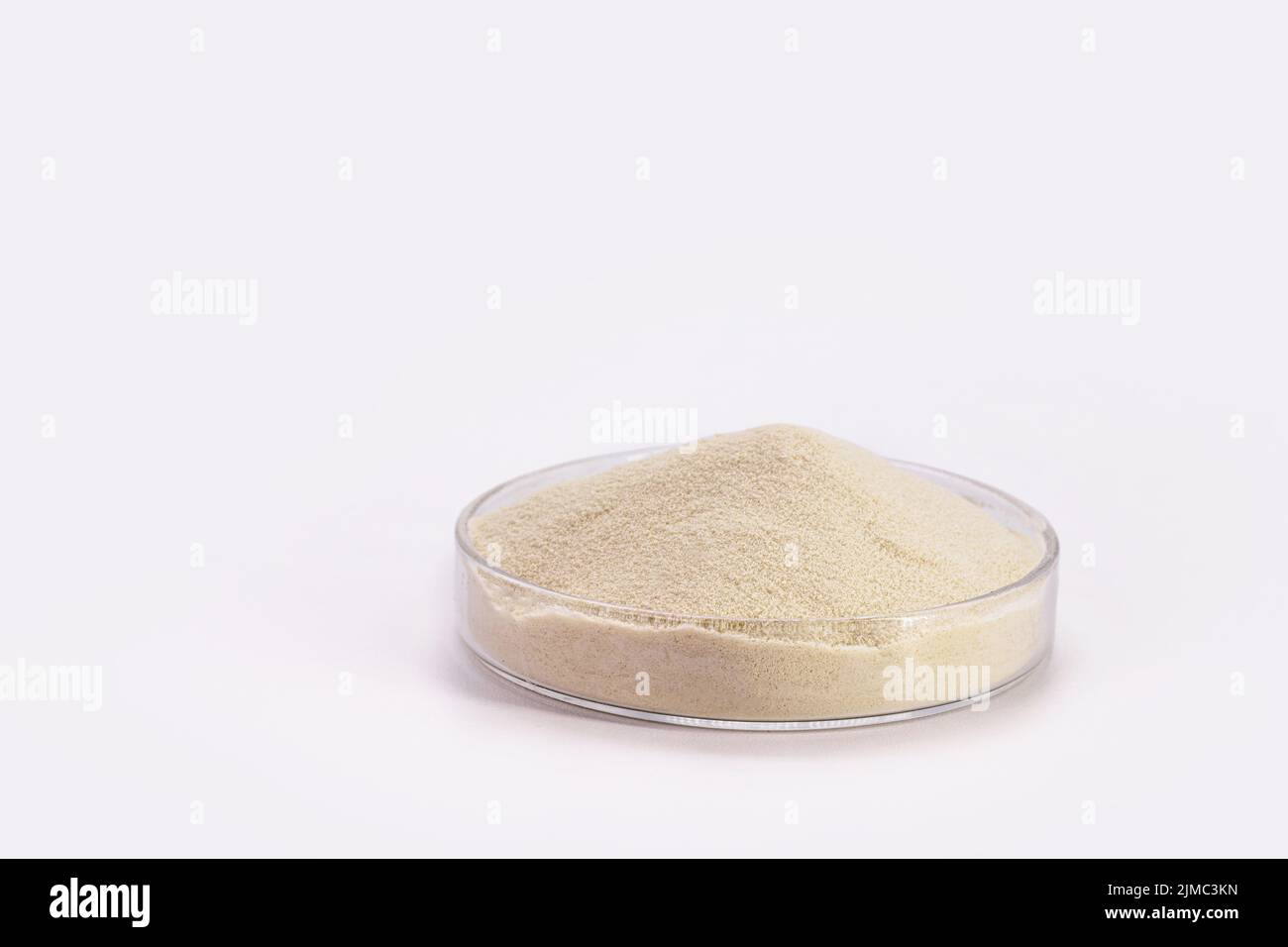 Protéine de lactosérum ou créatine, supplément alimentaire pour gagner la masse musculaire, l'énergie. Arrière-plan blanc avec espace de copie Banque D'Images