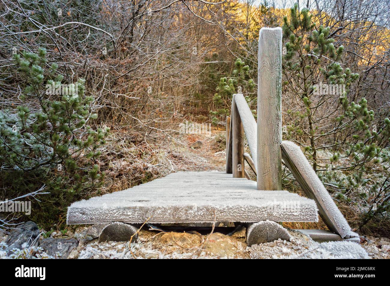 Pont en bois par un sentier pédestre. Couvert de givre. Banque D'Images