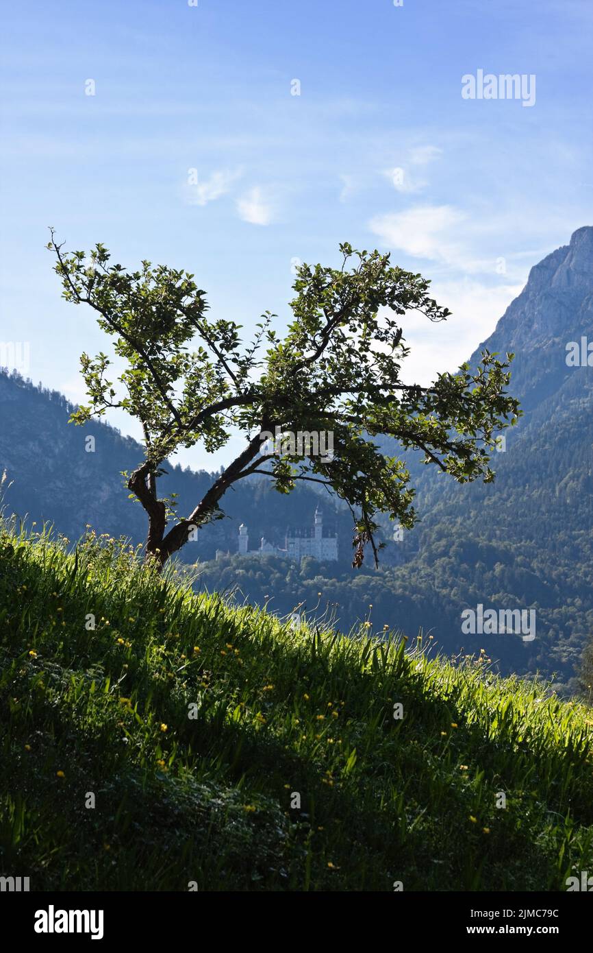 Monde fantastique Banque D'Images