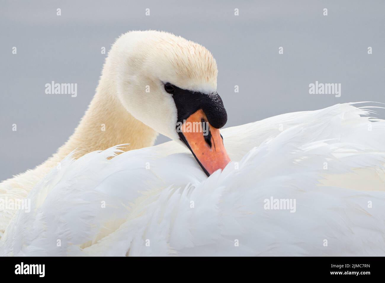 gros plan sur le lac Banque D'Images