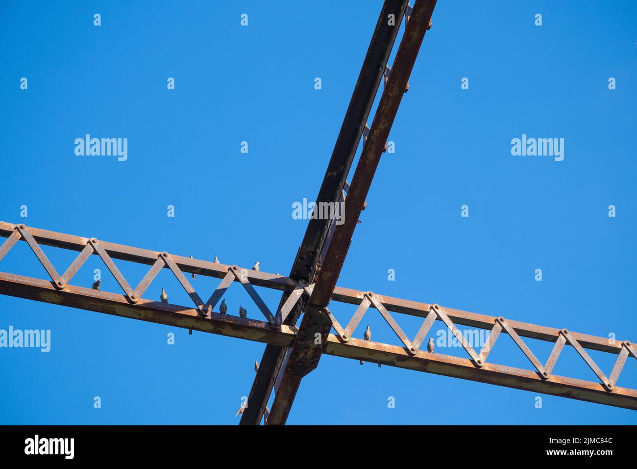 Structure de pont en acier avec des oiseaux contre un ciel bleu Banque D'Images