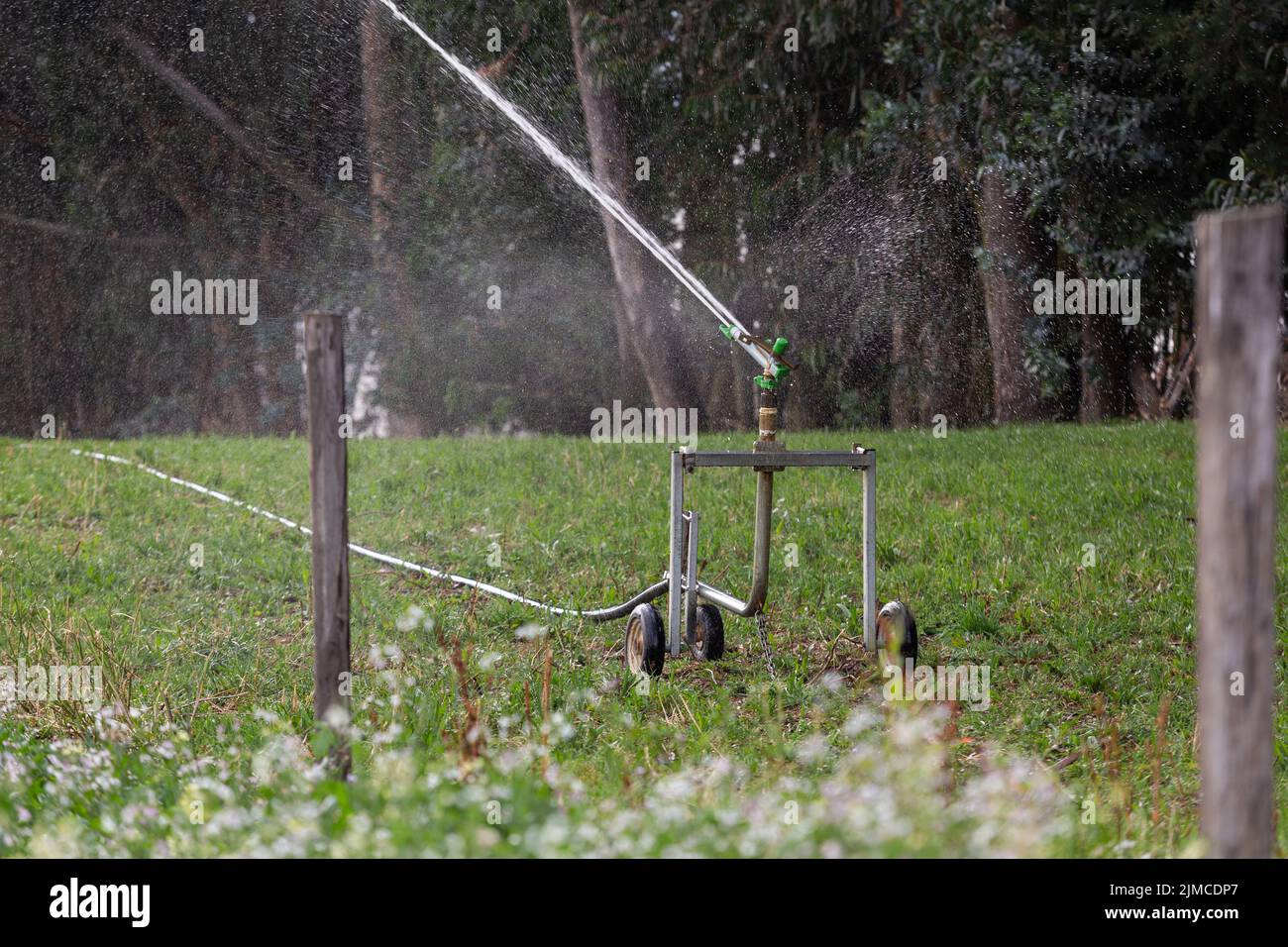les arroseurs d'eau se sont mis en marche dans un champ agricole, l'agriculture et les soins de la nature, l'environnement dans la ferme dans la journée Banque D'Images