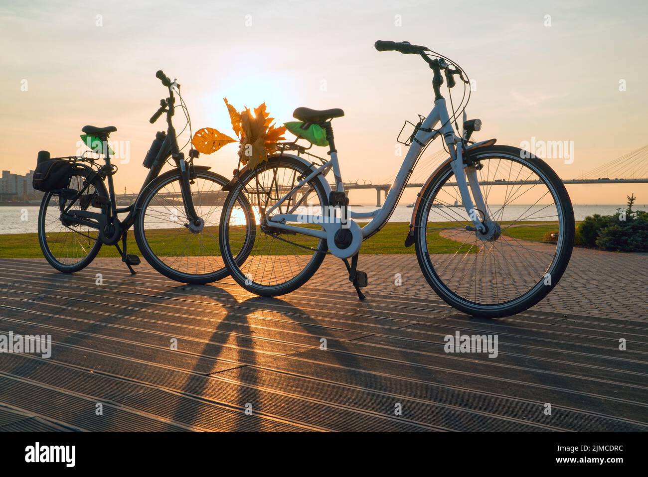 Deux vélos avec des feuilles jaunes sur le coffre Banque D'Images