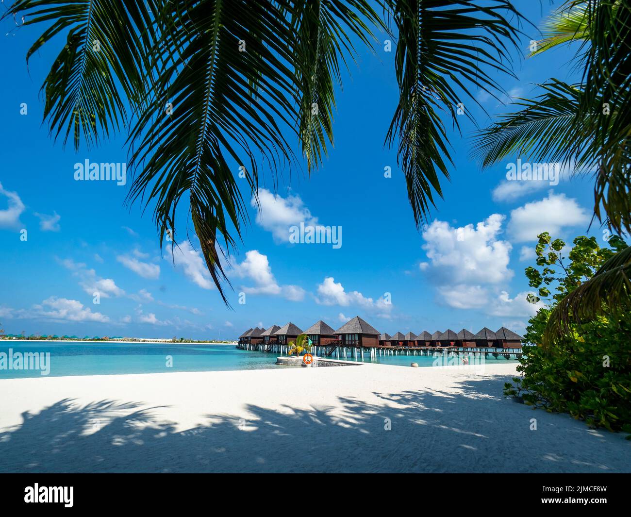 Île des Maldives avec des bungalows de plage et des palmiers, South Malé Atoll, Maldives Banque D'Images