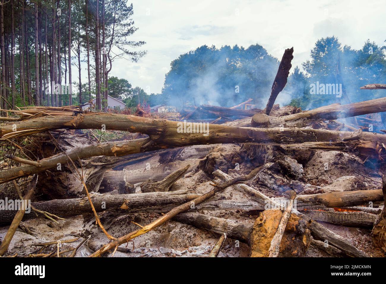 Ce sont les forêts qui doivent être déracinées et brûlées dans le cadre du développement des terres pour la construction Banque D'Images