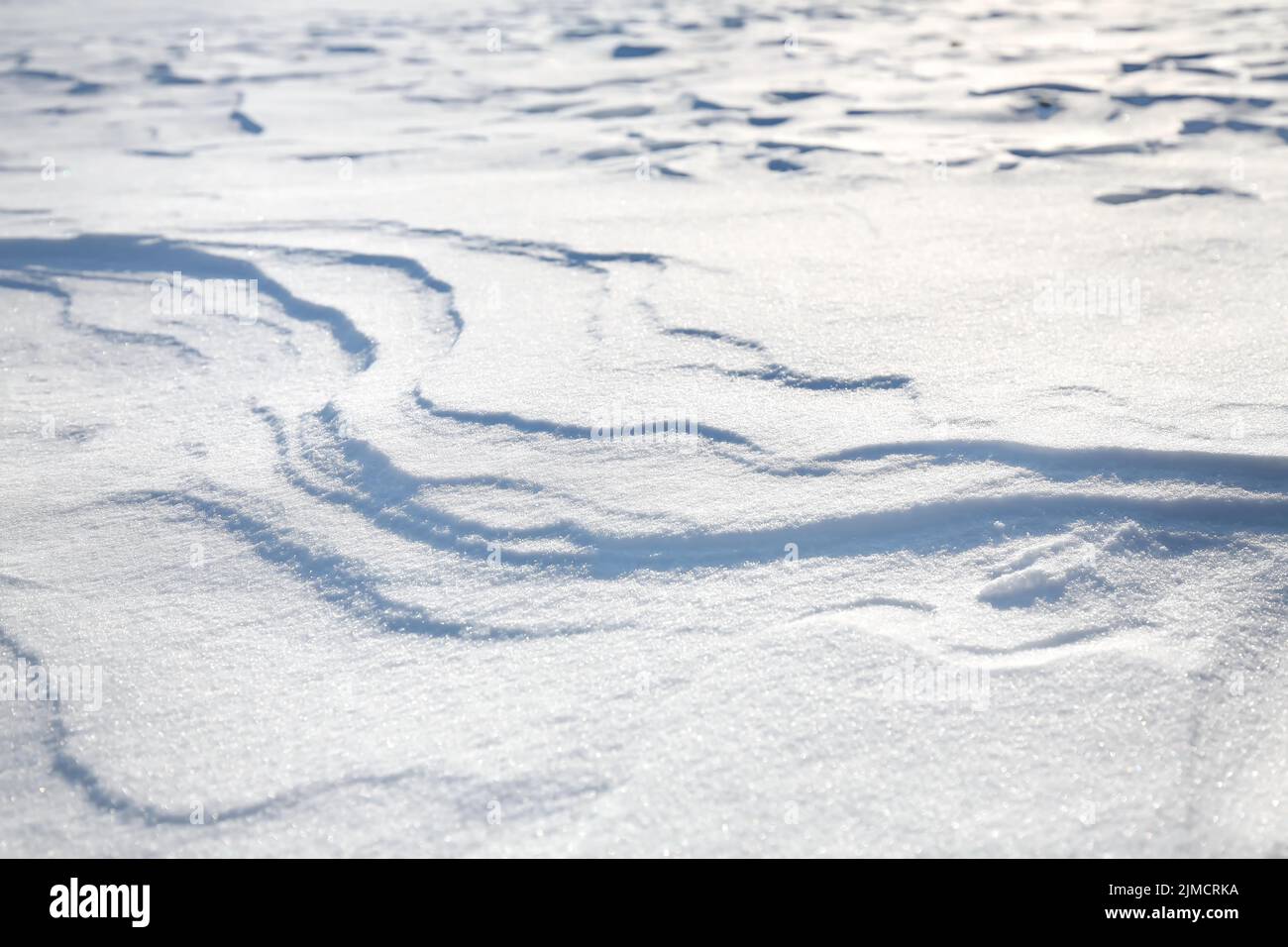 Les dérives de neige causées par le vent de la neige poudreuse ressemblent à des dunes et forment des modèles et des structures bizarres Banque D'Images