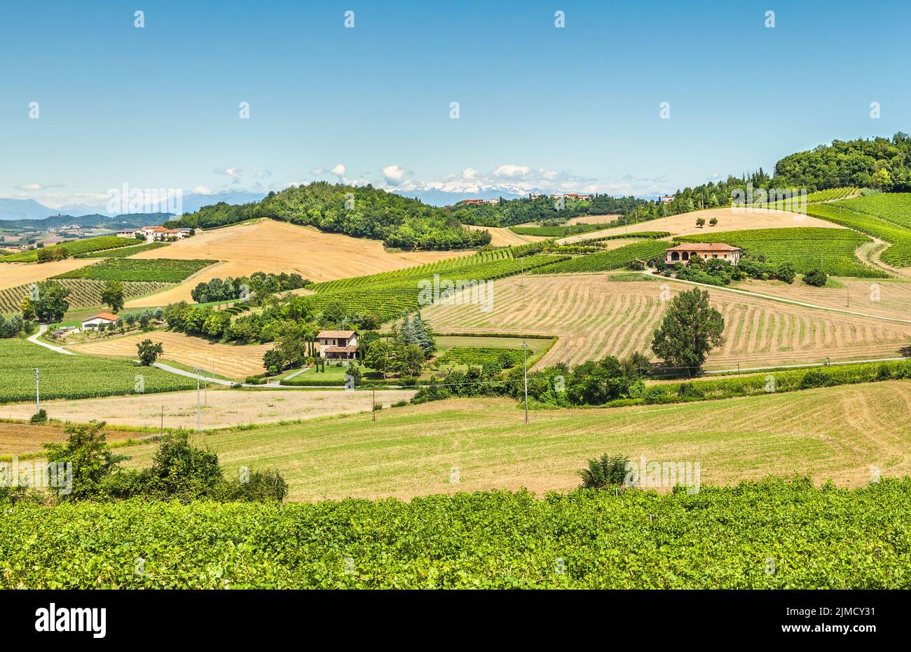 Collines et vignobles du Piémont, Italie Banque D'Images