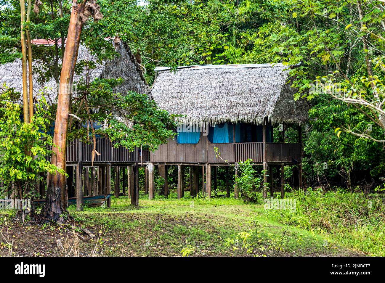 Le Curassow Amazon Lodge est situé sur les rives de la rivière Yanayacu dans l'Amazonie péruvienne Banque D'Images