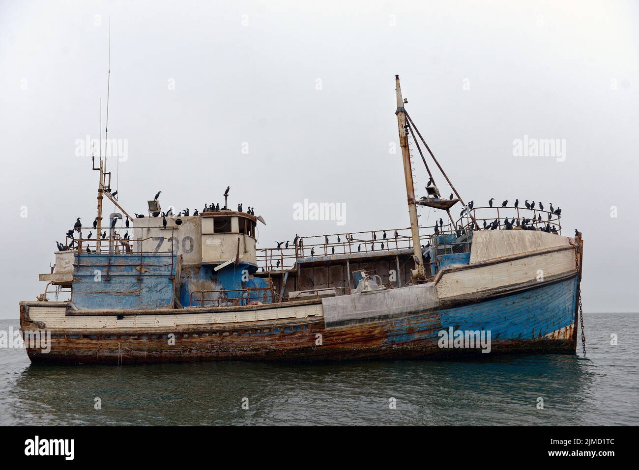 Cormorans sur une ancienne épave de Walvis Bay, Namibie Banque D'Images