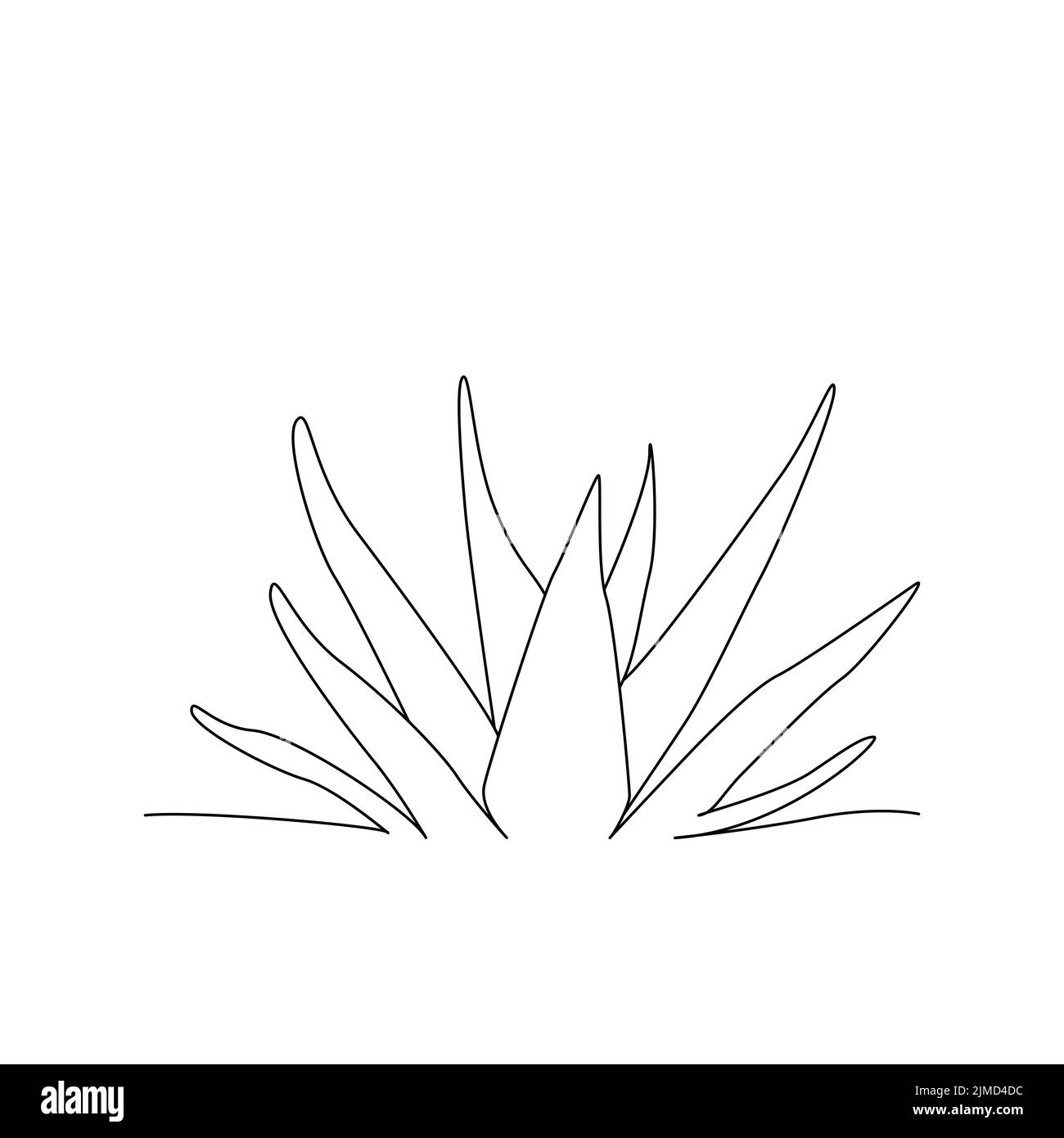 Formes succulentes, Icon plantes en pot, icônes linéaires. Ligne avec contour modifiable Illustration de Vecteur