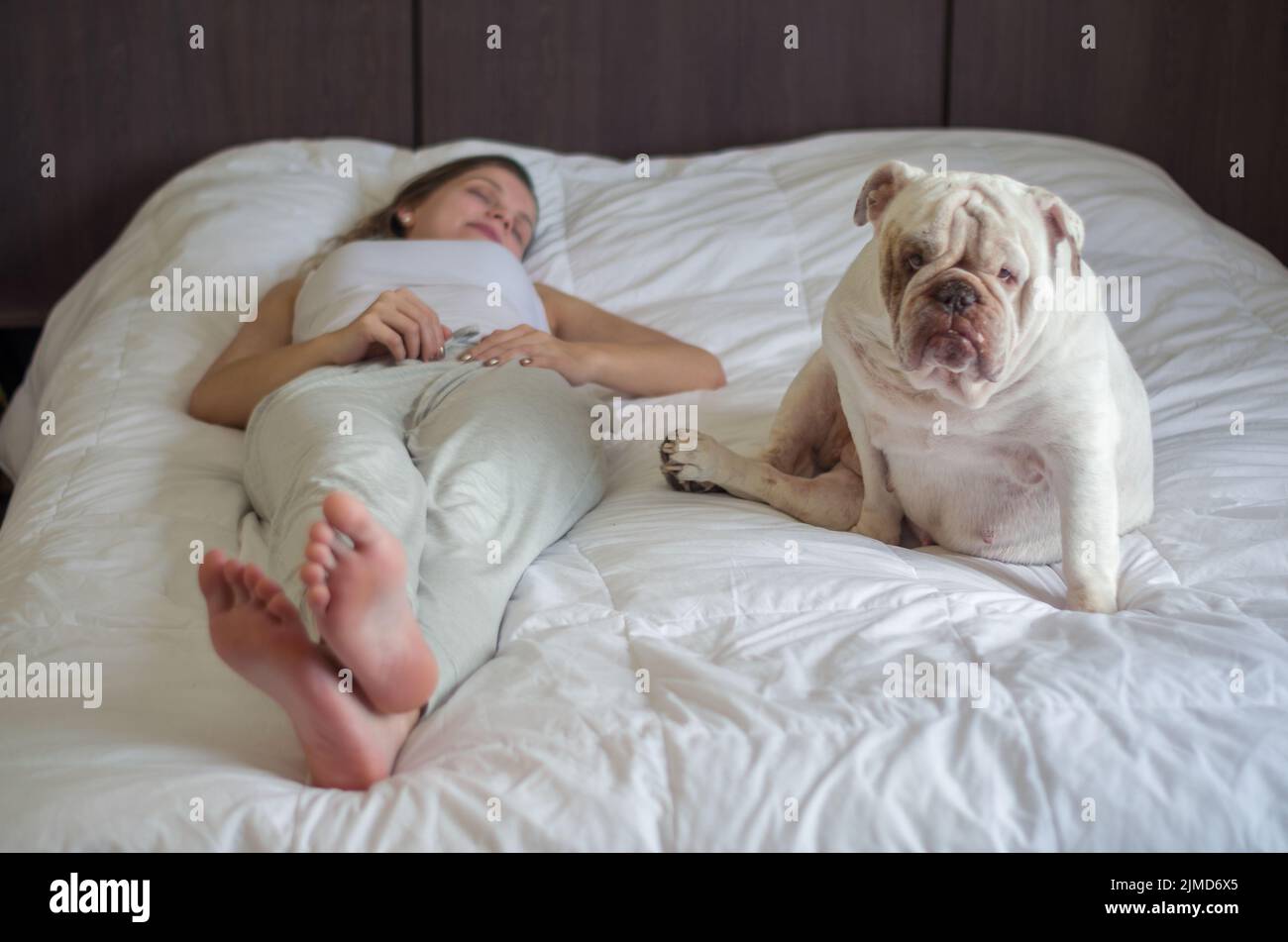 Belle femme au lit avec couchage chiot bouledogue anglais. Seuls les pieds. Banque D'Images