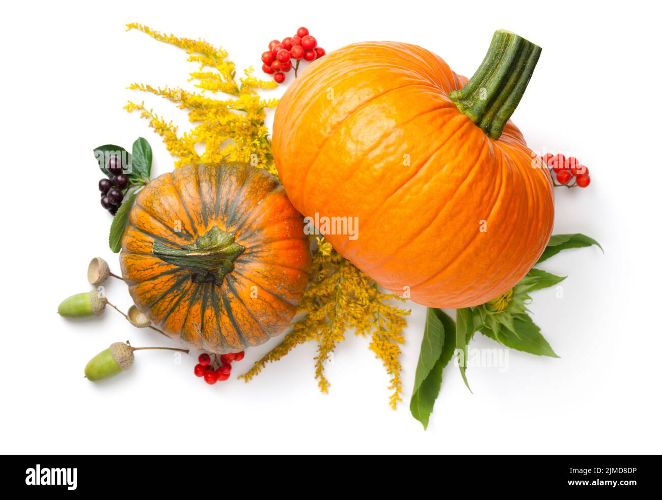 Composition d'automne Banque D'Images