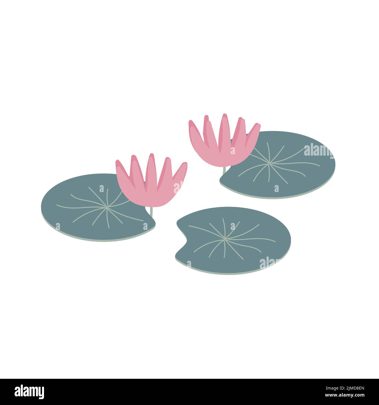 Fleur de nénuphars, illustration simple vectorielle dessinée à la main isolée sur fond blanc Illustration de Vecteur