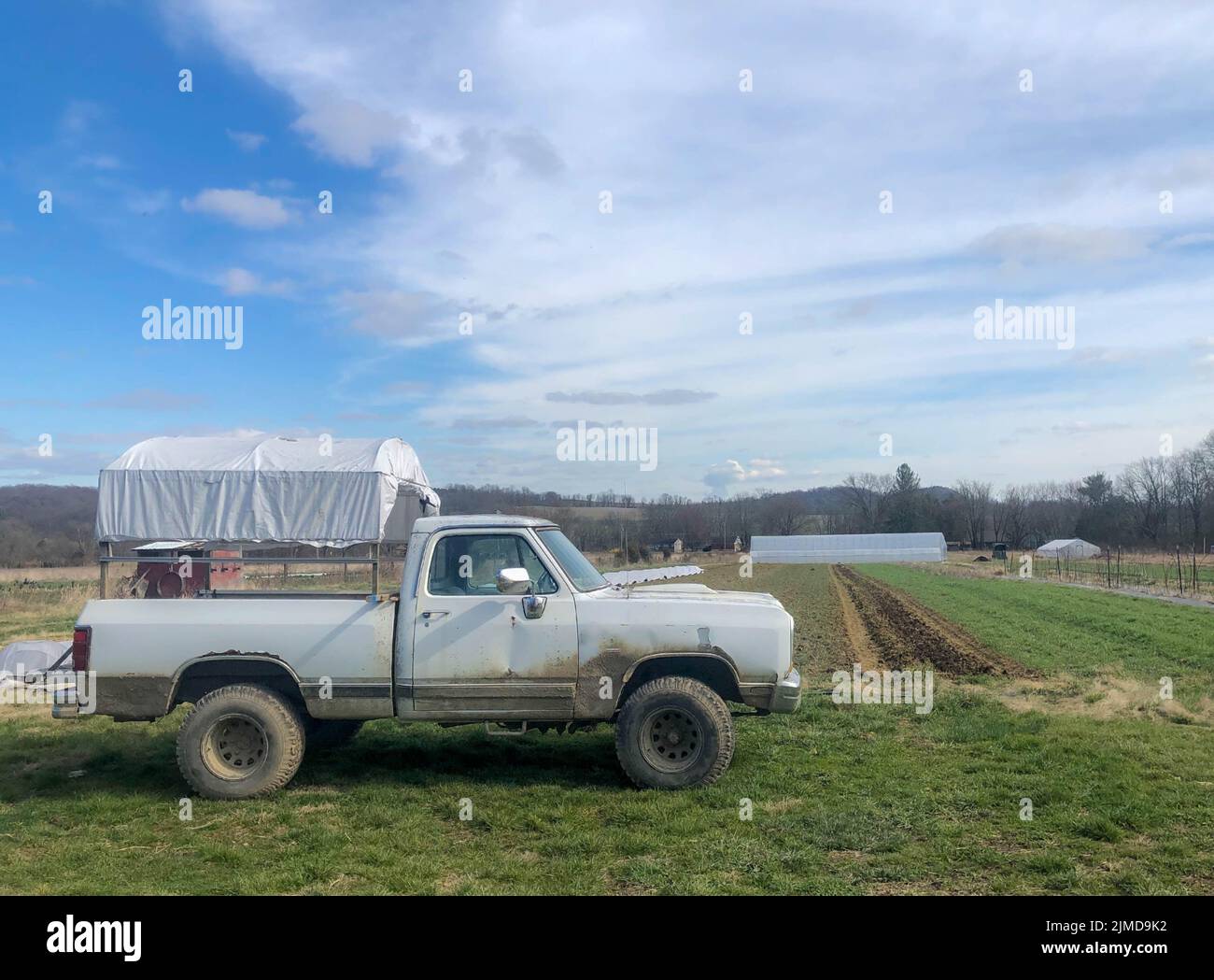 Vieux camion de ramassage blanc sur ferme biologique avec jardins et serres Banque D'Images