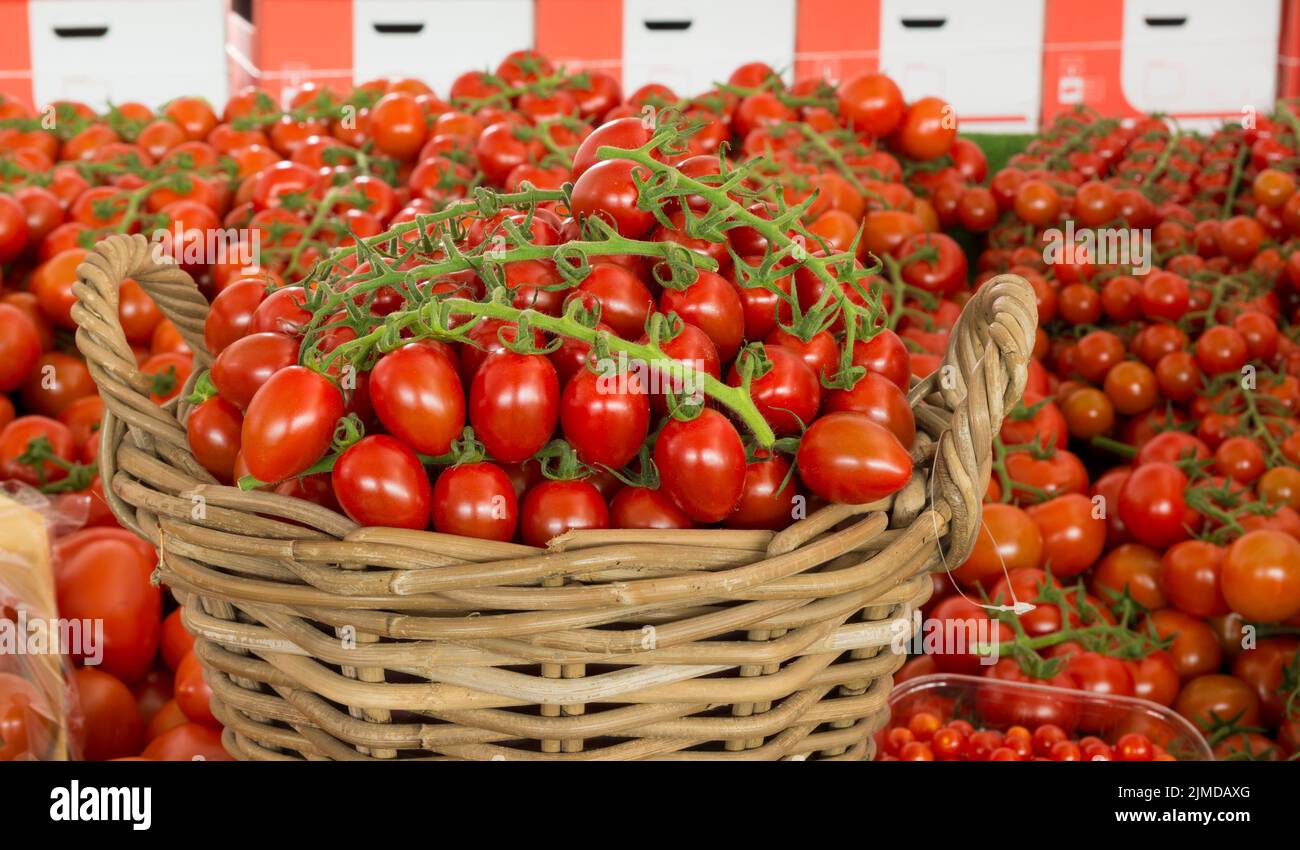 Panier de tomates rouges Banque D'Images