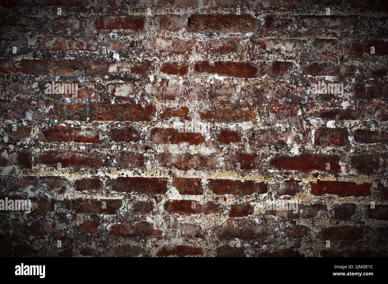 Vieux mur de briques Banque D'Images