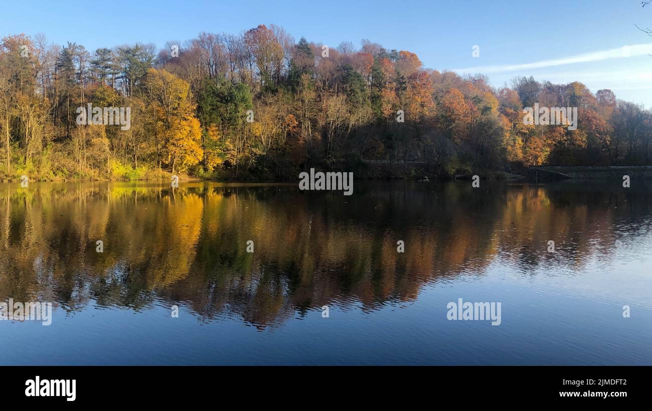 La flèche de l'ombre pointe le chemin à travers les arbres idylliques dans le lac réflexion Banque D'Images