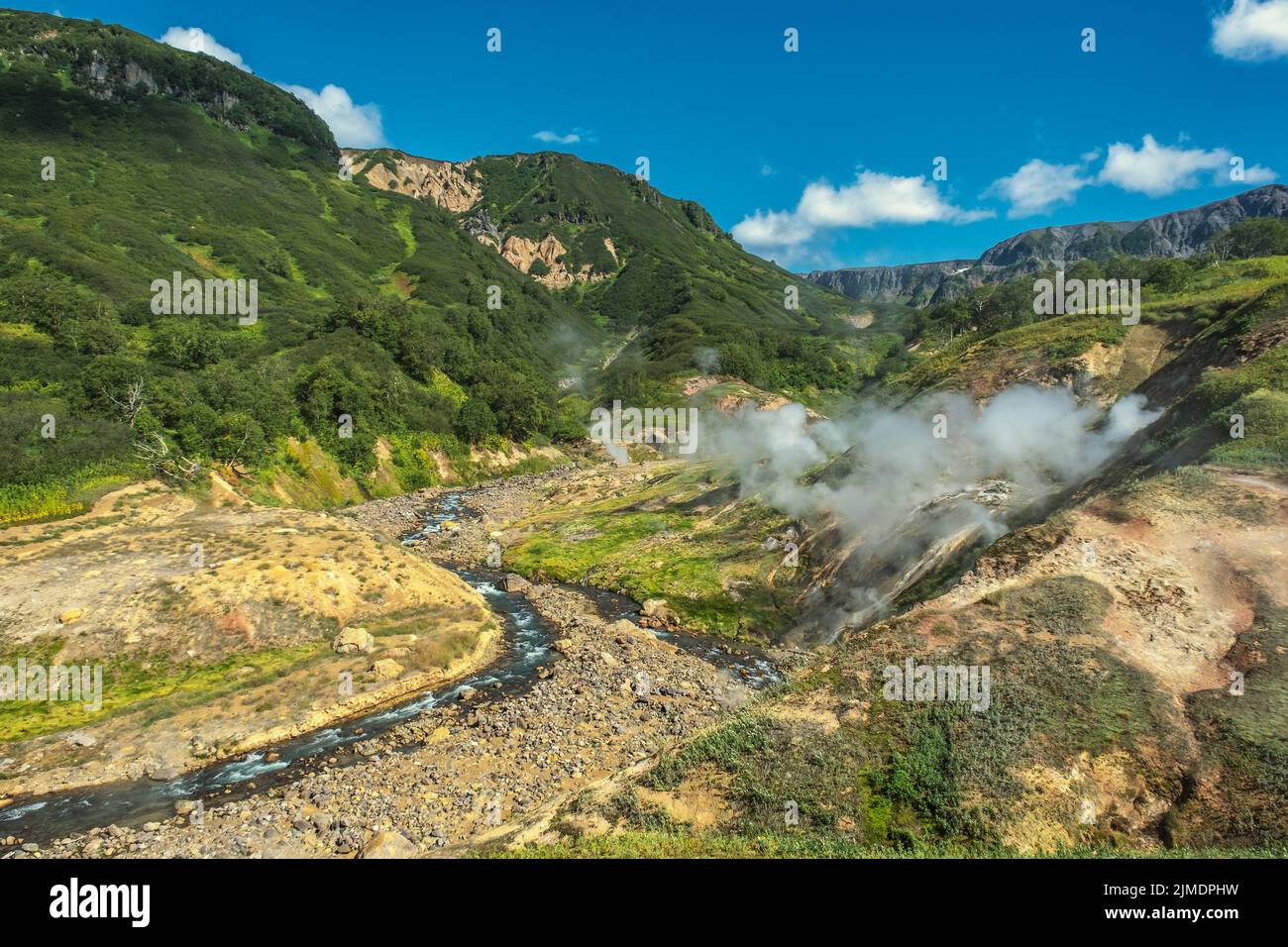 Sources d'eau chaude et fumeroles dans la vallée des geysers Banque D'Images