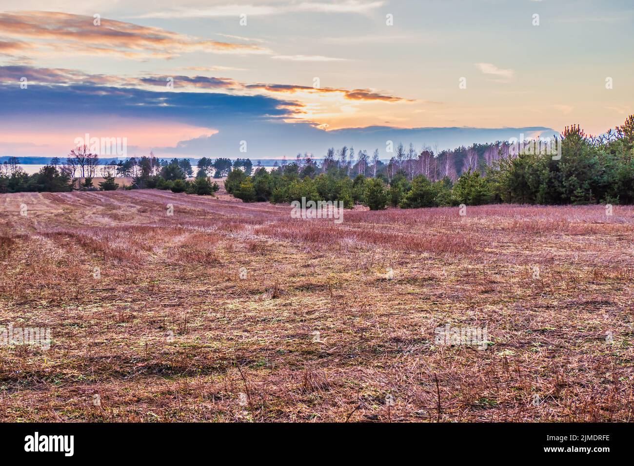 Paysage du début du printemps avec coucher de soleil sur le lac Banque D'Images