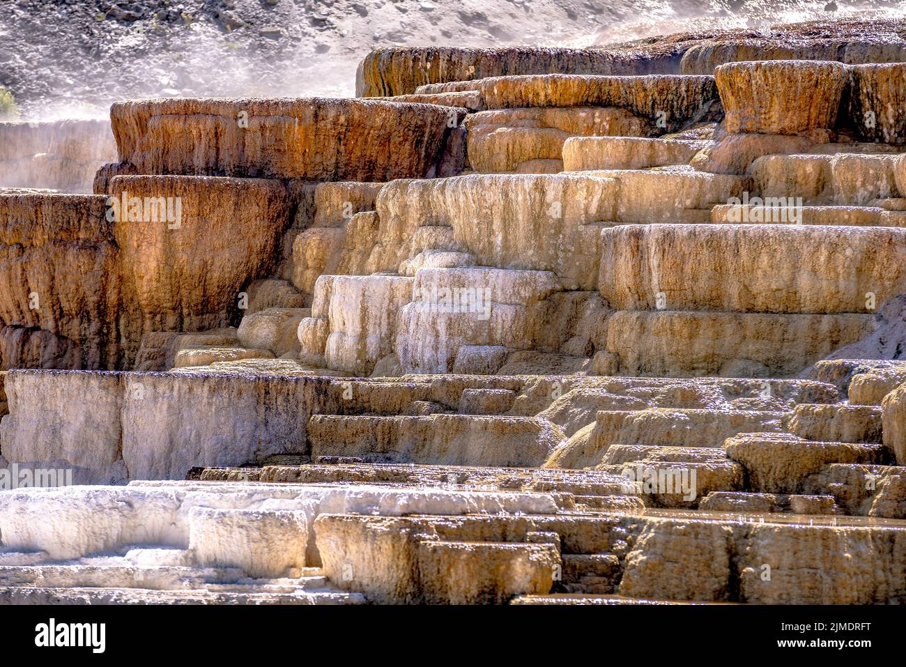 Terrasses en travertin, Mammoth Hot Springs, Yellowstone Banque D'Images