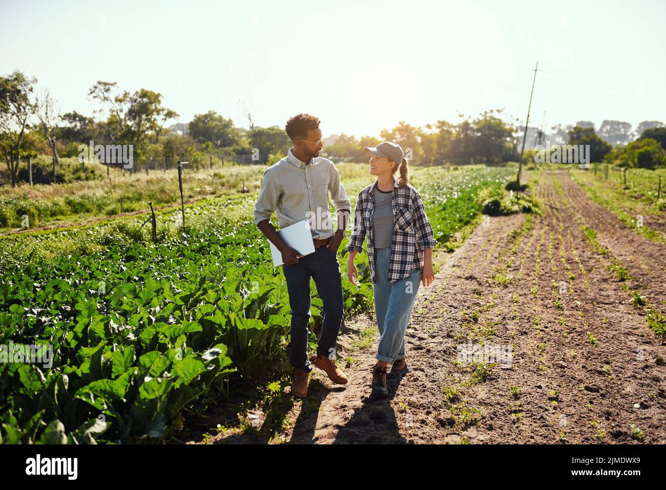 Agriculture, agriculture et divers agriculteurs marchant et parlant tout en travaillant ensemble sur une ferme biologique et durable. Agronome et partenaires dans Banque D'Images