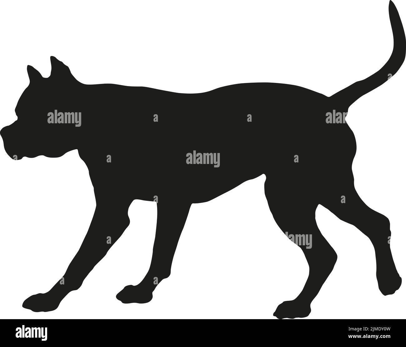 Silhouette de chien noire. Chien de terrier américain de marche staffordshire. Animaux de compagnie. Isolé sur un fond blanc. Illustration vectorielle. Illustration de Vecteur