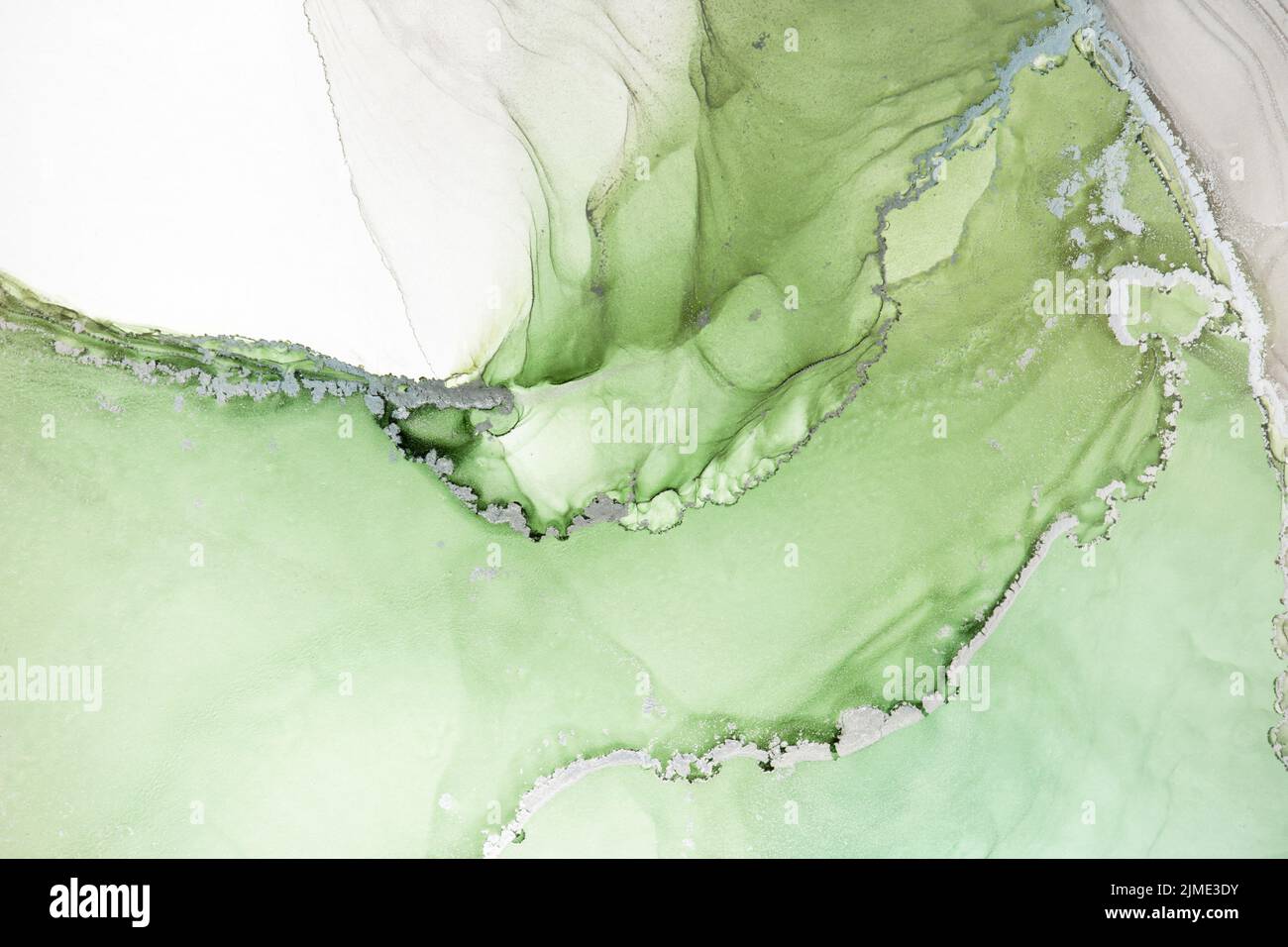 Peinture verte abstraite à l'encre. Texture à l'encre liquide brillante pour un design de fond naturel et organique haute résolution. Banque D'Images