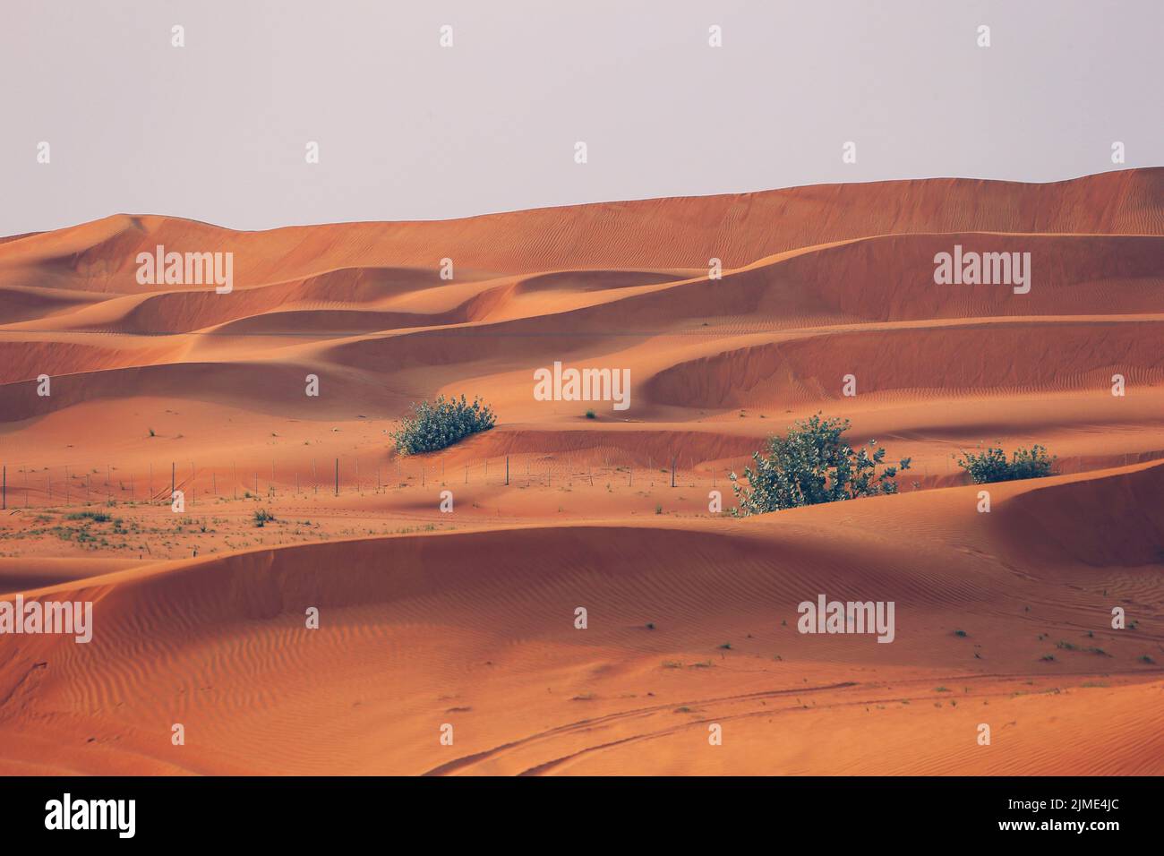 Le désert à Ras al Khaimah, Émirats arabes Unis, Asie Banque D'Images