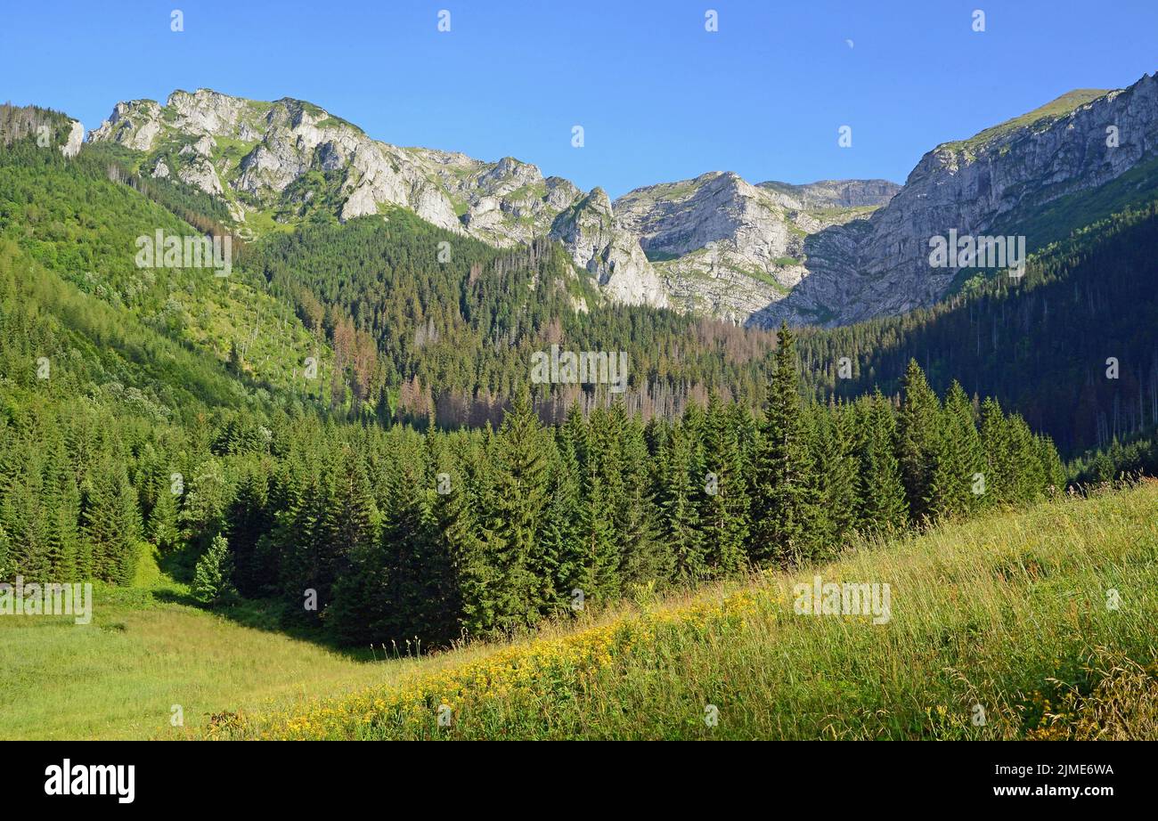 Pics rouges vus du bois de Wantule , Tatras polonais Banque D'Images