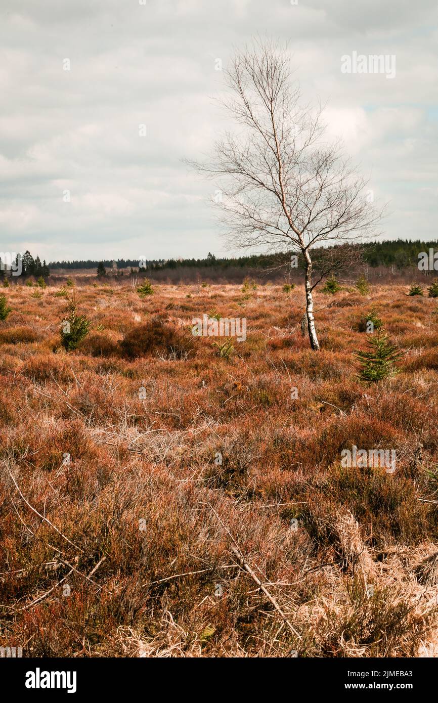 Les High Fens Banque D'Images