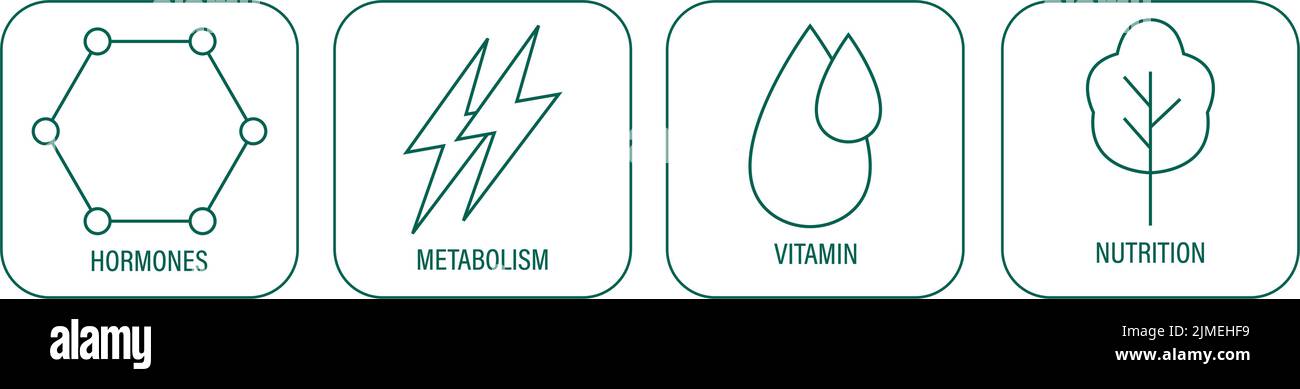 hormones, métabolisme, vitamine, nutrition icônes pour la conception d'emballage amazon listing vecteur illustration Illustration de Vecteur