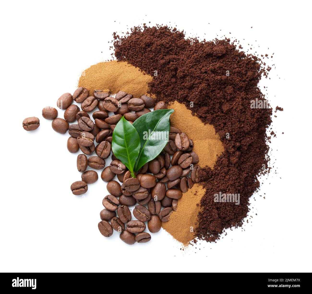 Trois différents types de café avec feuilles Banque D'Images