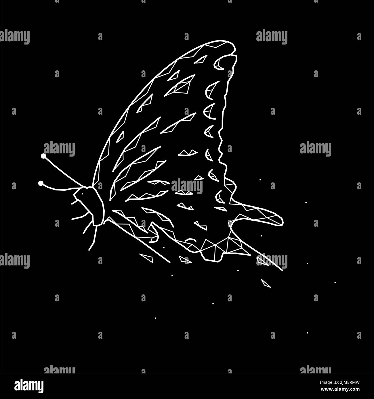 Magnifique papillon géométrique sur fond noir Banque D'Images