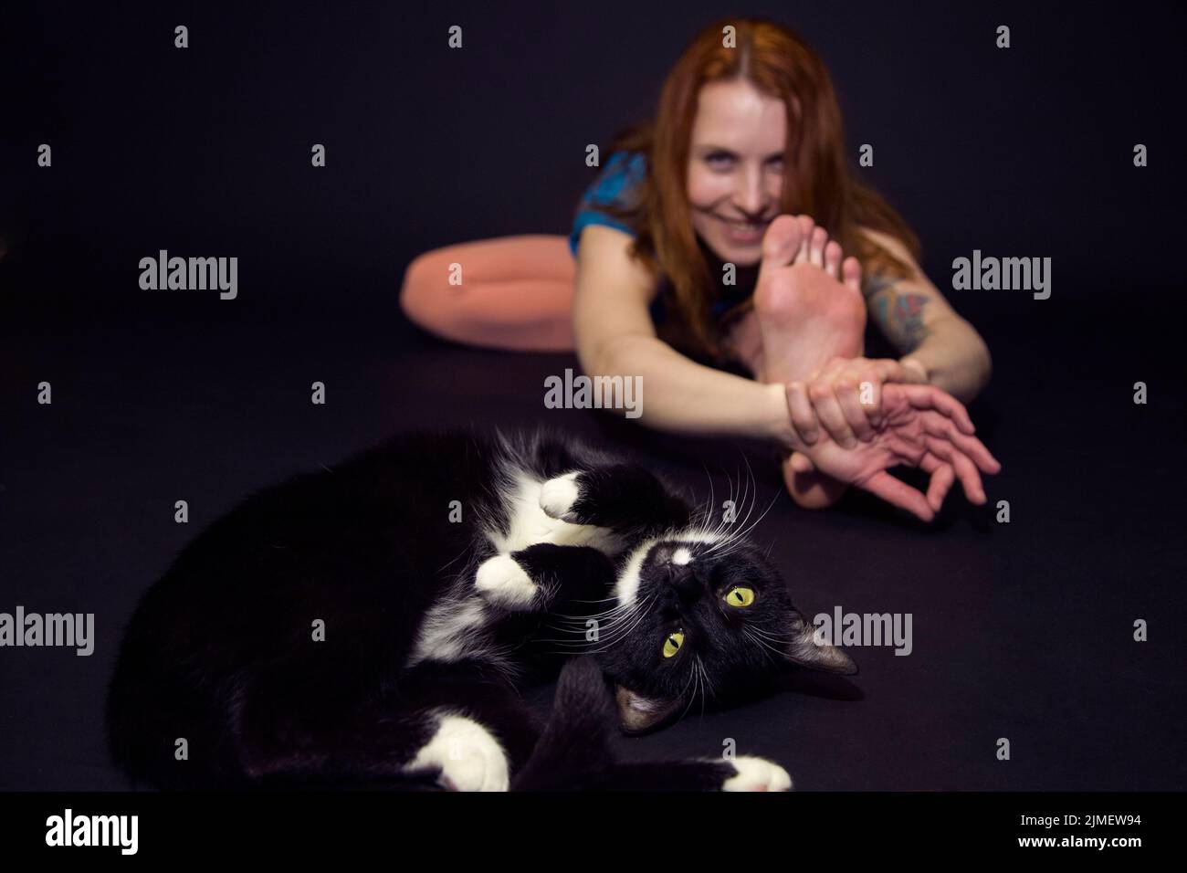 Un Chat Noir Avec Des Taches Blanches Se Trouve Sur Un Rocher Photo Stock Alamy