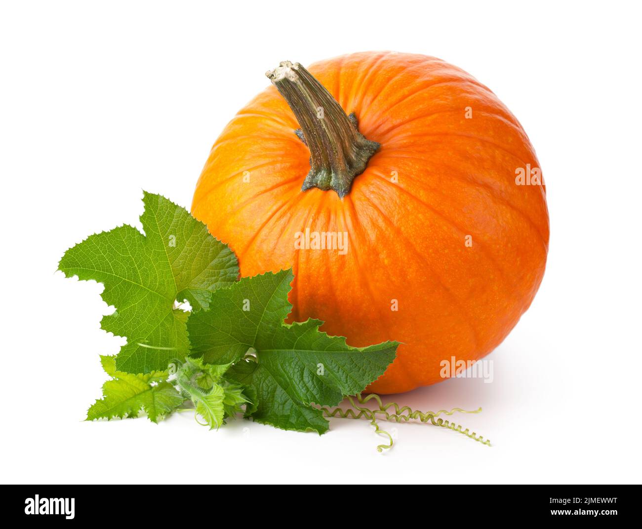 Citrouille mûre avec feuilles vertes fraîches isolées Banque D'Images