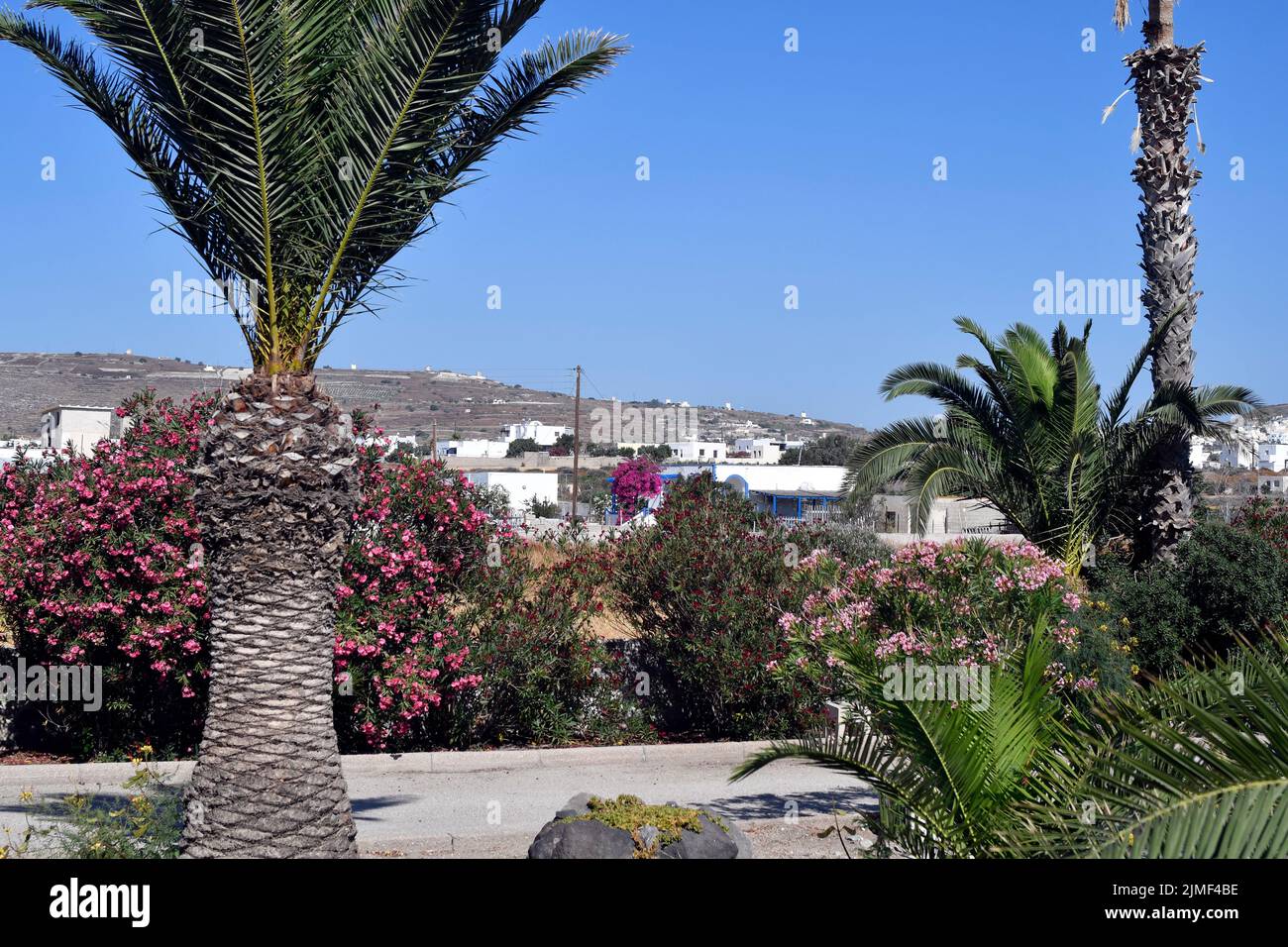 Grèce, paysage avec moulins à vent sur l'île de Santorini Banque D'Images